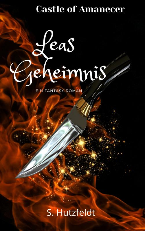 Cover-Bild Leas Geheimnis - Castle of Amanecer Band 1