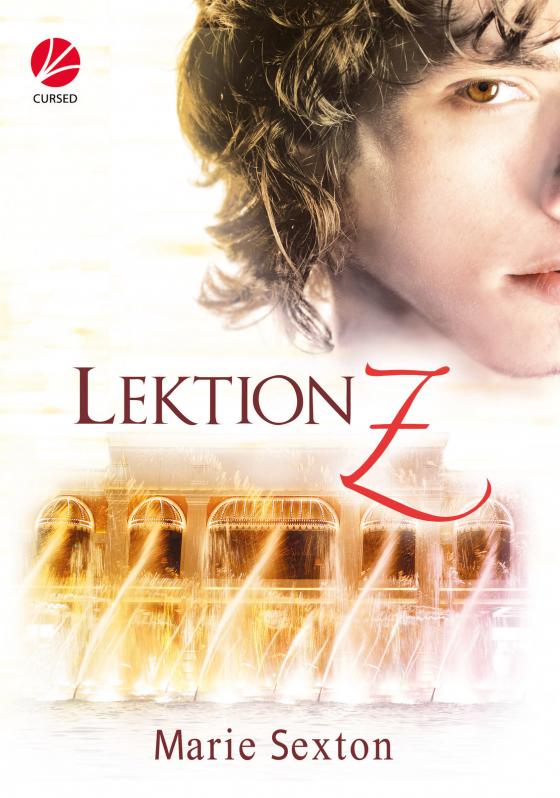 Cover-Bild Lektion Z