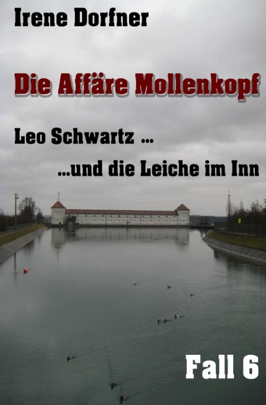 Cover-Bild Leo Schwartz / Die Affäre Mollenkopf