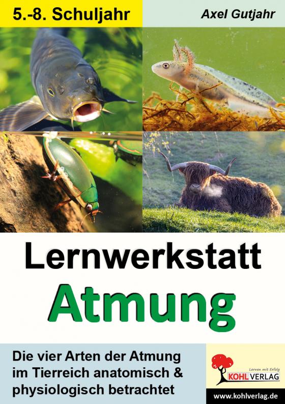 Cover-Bild Lernwerkstatt Atmung / Band 1 (Klasse 5-8)