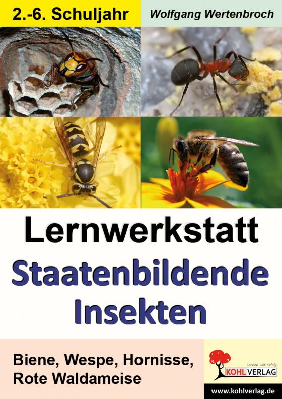 Cover-Bild Lernwerkstatt Staatenbildende Insekten