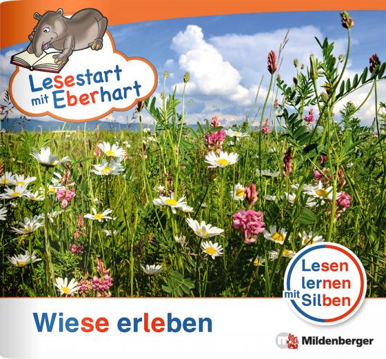 Cover-Bild Lesestart mit Eberhart - Wiese erleben