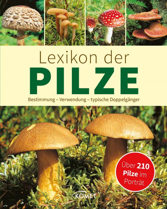 Cover-Bild Lexikon der Pilze