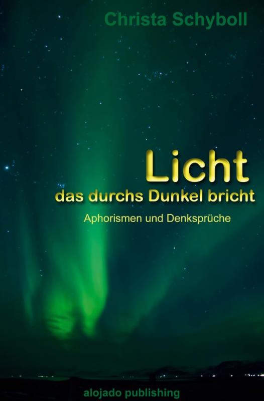 Cover-Bild Licht, das durchs Dunkel bricht