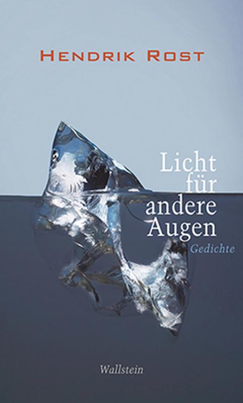 Cover-Bild Licht für andere Augen