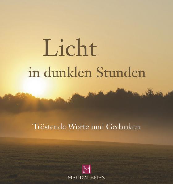 Cover-Bild Licht in dunklen Stunden