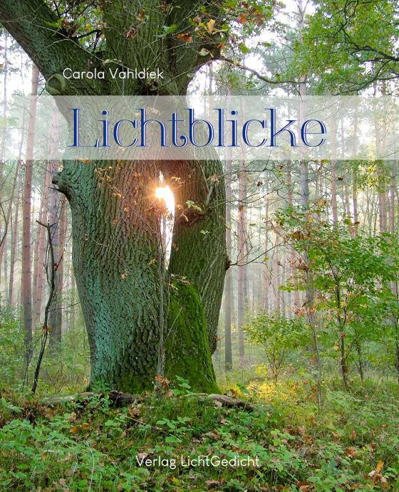 Cover-Bild Lichtblicke