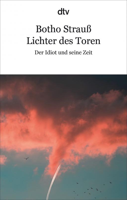 Cover-Bild Lichter des Toren