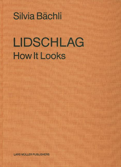 Cover-Bild Lidschlag