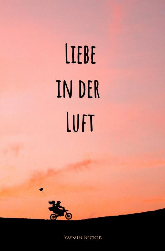 Cover-Bild Liebe in der Luft