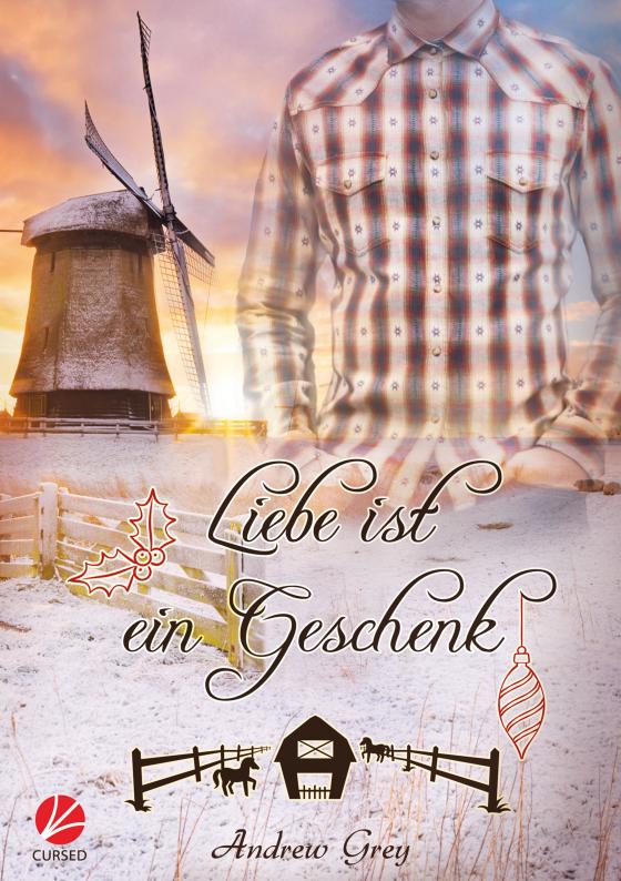 Cover-Bild Liebe ist ein Geschenk