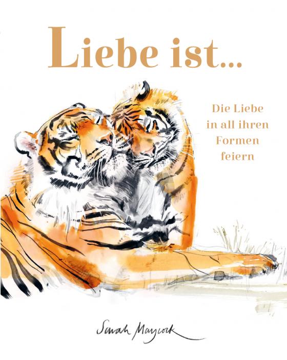 Cover-Bild Liebe ist ...