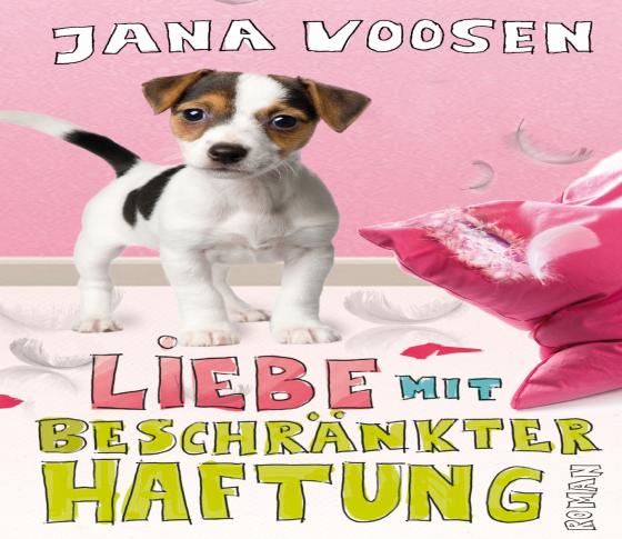 Cover-Bild Liebe mit beschränkter Haftung