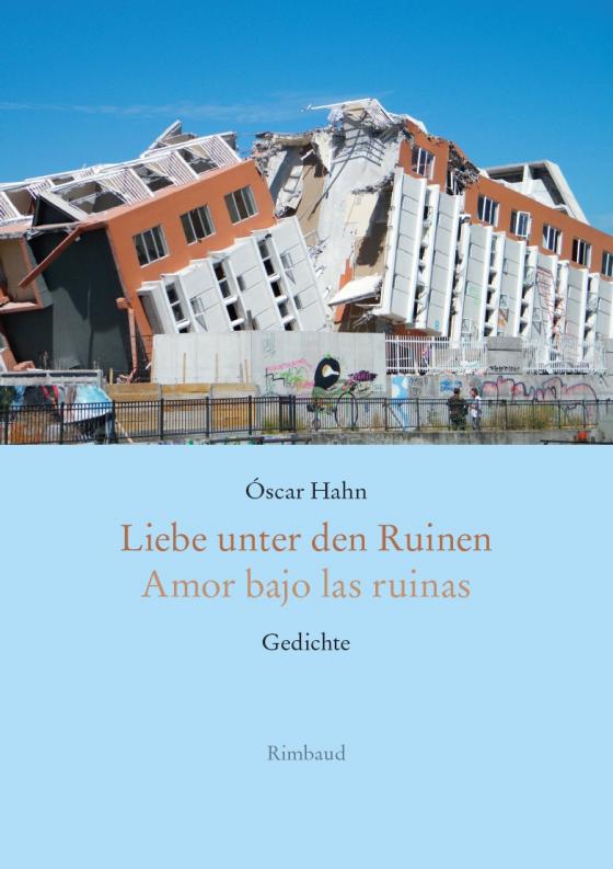 Cover-Bild Liebe unter den Ruinen / Amor bajo las ruinas