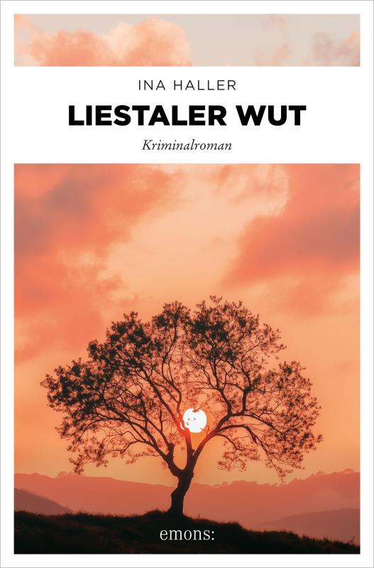 Cover-Bild Liestaler Wut