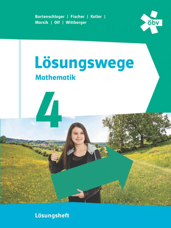 Cover-Bild Lösungswege 4, Lösungen