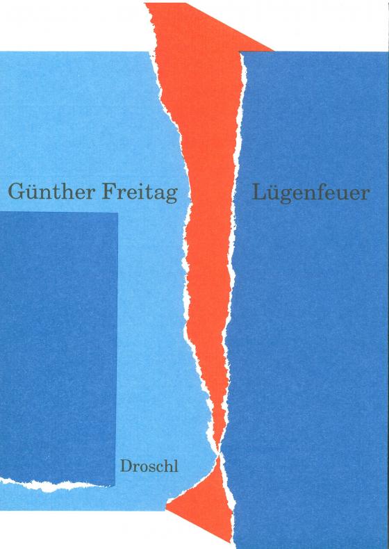 Cover-Bild Lügenfeuer