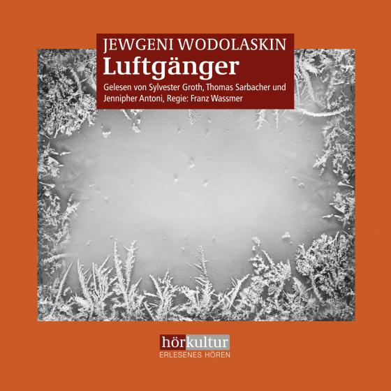 Cover-Bild Luftgänger