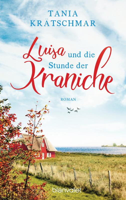 Cover-Bild Luisa und die Stunde der Kraniche