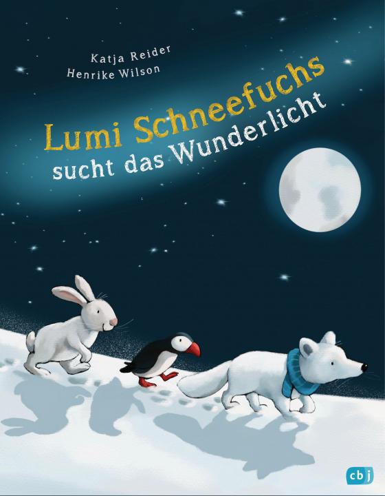 Cover-Bild Lumi Schneefuchs sucht das Wunderlicht