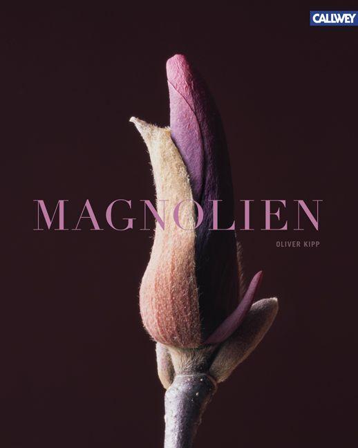 Cover-Bild Magnolien