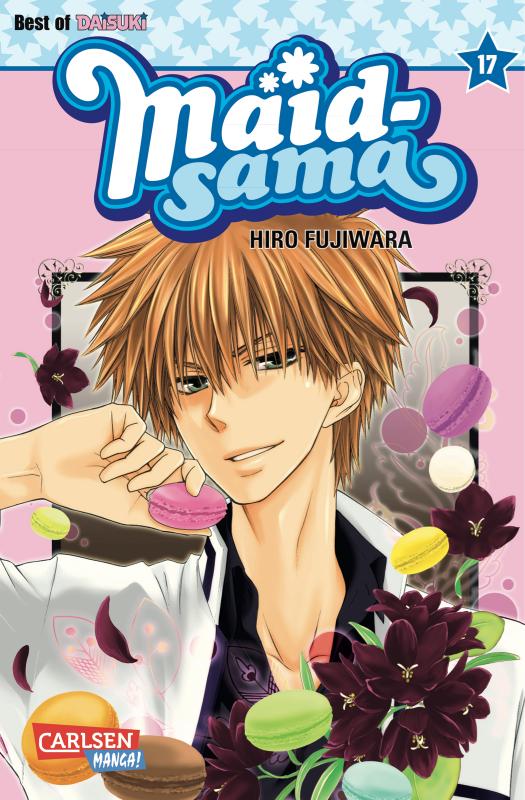 Cover-Bild Maid-sama 17