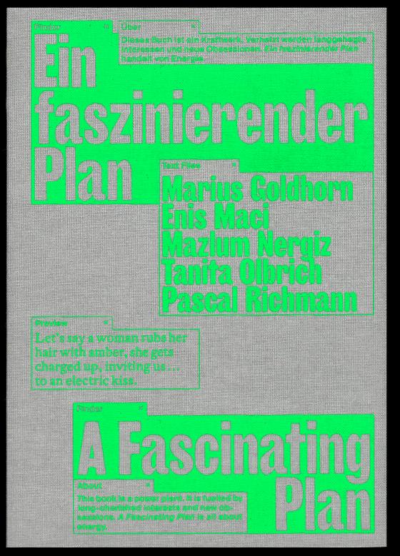 Cover-Bild Marius Goldhorn, Enis Maci, Pascal Richmann: Ein faszinierender Plan