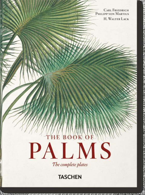 Cover-Bild Martius. The Book of Palms. 40th Ed.