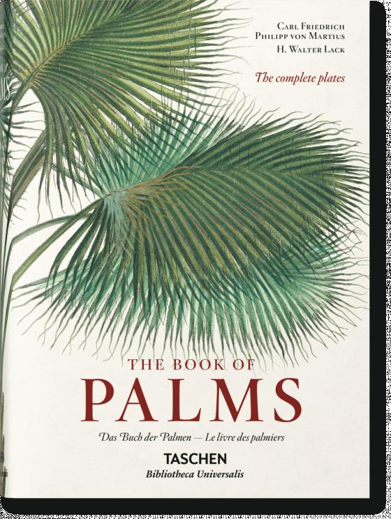 Cover-Bild Martius. The Book of Palms