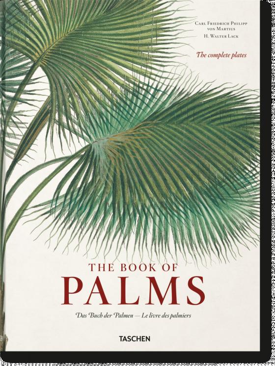 Cover-Bild Martius. The Book of Palms