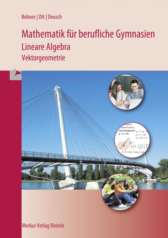 Cover-Bild Mathematik für berufliche Gymnasien