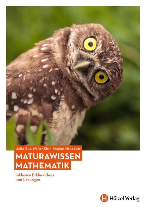 Cover-Bild Maturawissen / Mathematik
