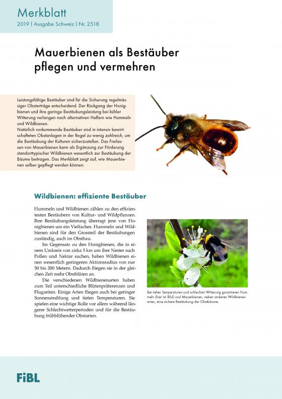 Cover-Bild Mauerbienen als Bestäuber pflegen und vermehren