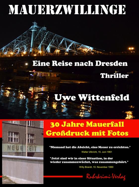 Cover-Bild Mauerzwillinge - Großdruck