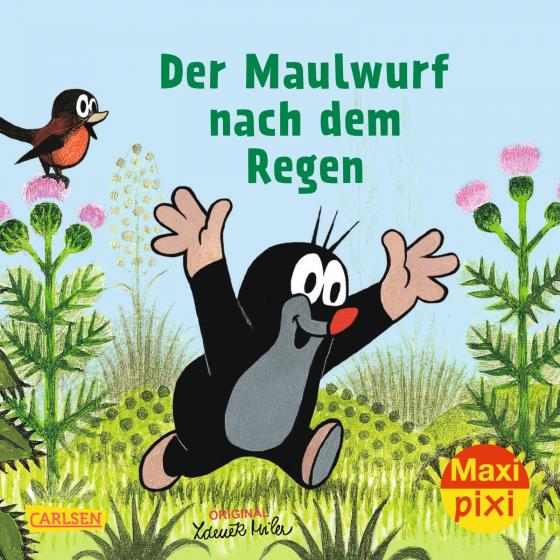 Cover-Bild Maxi Pixi 200: Der Maulwurf nach dem Regen