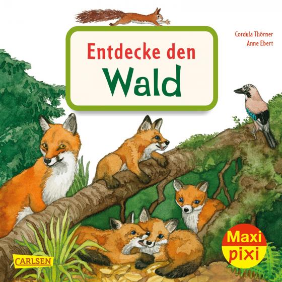 Cover-Bild Maxi Pixi 399: Entdecke den Wald