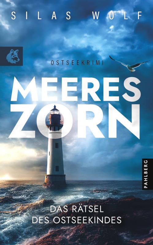 Cover-Bild Meereszorn - Das Rätsel des Ostseekindes