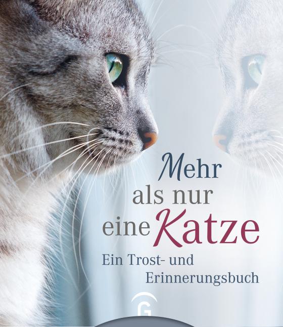 Cover-Bild Mehr als nur eine Katze