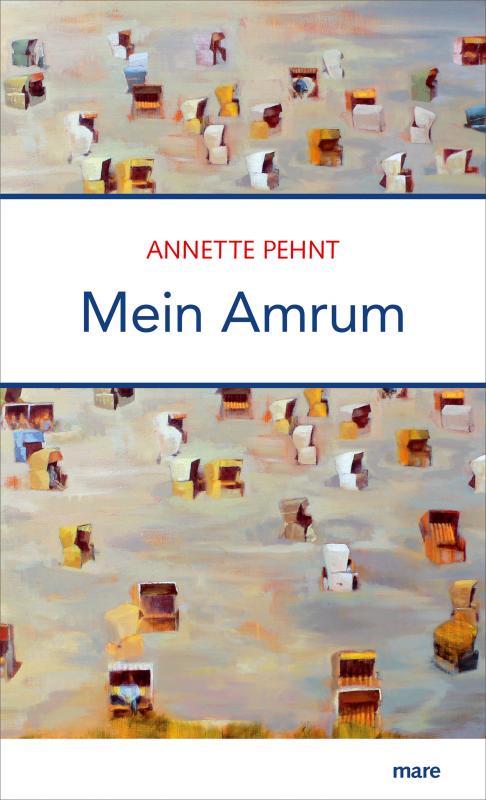 Cover-Bild Mein Amrum