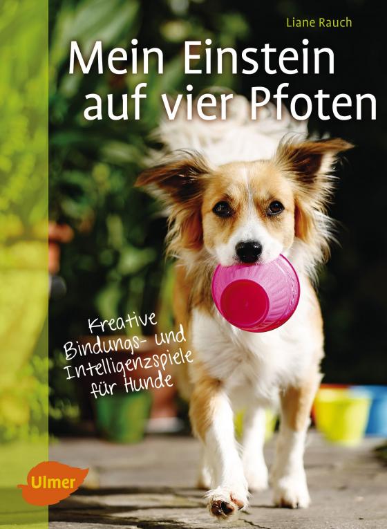 Cover-Bild Mein Einstein auf vier Pfoten