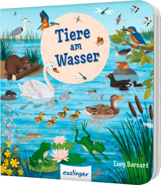 Cover-Bild Mein erstes Natur-Wimmelbuch: Tiere am Wasser – Mini-Ausgabe