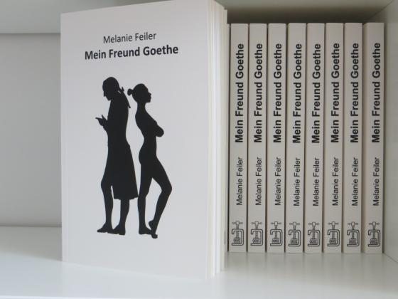 Cover-Bild Mein Freund Goethe