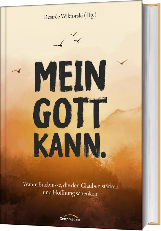 Cover-Bild Mein Gott kann.