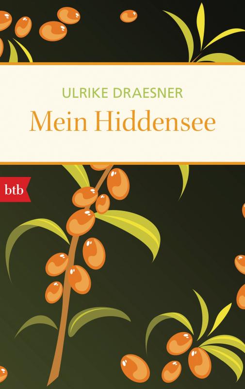Cover-Bild Mein Hiddensee
