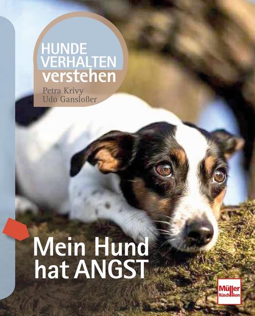 Cover-Bild Mein Hund hat Angst