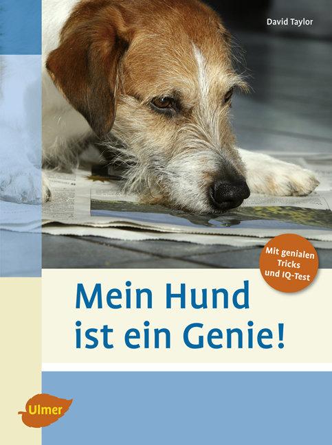 Cover-Bild Mein Hund ist ein Genie!