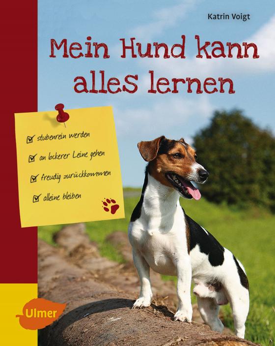 Cover-Bild Mein Hund kann alles lernen