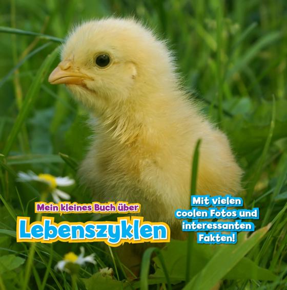 Cover-Bild Mein kleines Buch über Lebenszyklen