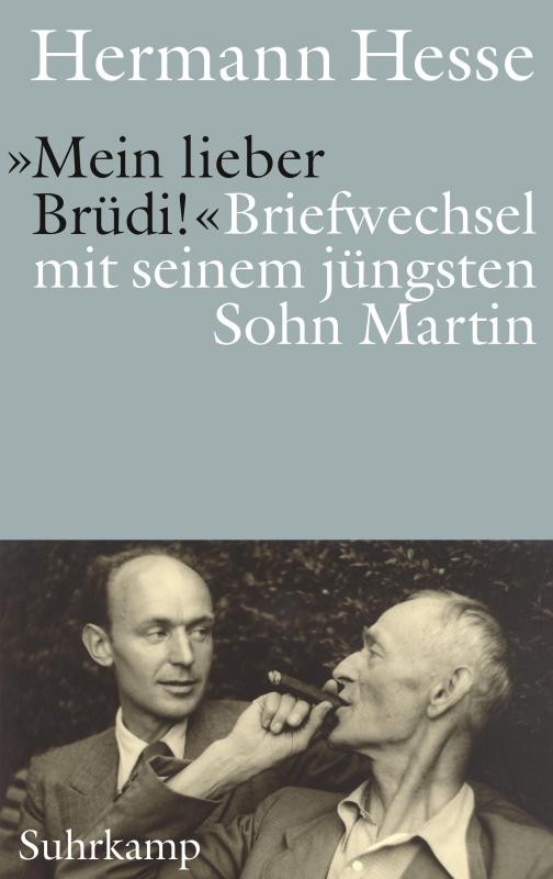 Cover-Bild »Mein lieber Brüdi!«