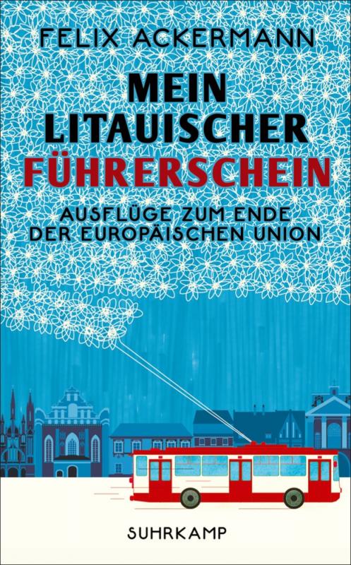 Cover-Bild Mein litauischer Führerschein